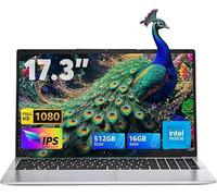 ACEMAGIC 2025 17.3 Pollici,16 GB DDR4 512 GB SSD, processore lntel N-97