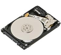 Acer KH.16001.027 disco rigido interno 160 GB Seriale ATA II