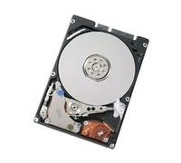 Acer KH.32001.023 disco rigido interno 320 GB SATA HDD