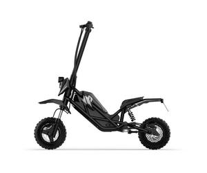 Acer Predator Extreme PES017 350 W Scooter elettrico nero - Nouvo