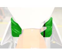 Acer Rock, coperchio del tripleclamp male Verde