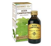 ACERO CAMP 100ML ANALCO GEM10+