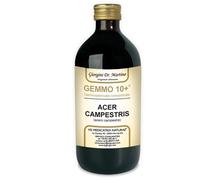 Acero Camp 500ml Analco Gem10+