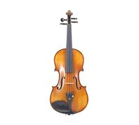 Acero Fiammato A Grandezza Naturale, Violino Avanzato Realizzato A Mano, Faccia In Abete Rosso, Ebano, Dotato Di Custodia Per Archetto Muto (Color : 1/2)