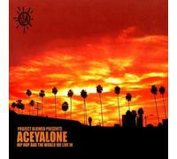 Aceyalone - Hip Hop & The World We Live In