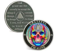 ACGZQY 2 Year Sobriety Chip - Grateful I Am Alive Skull AA Coin e medaglioni - Affermazione Sobriety Coin Recovery Token con preghiera della serenità - Celebrate Living Clean AA NA Sobriety Gifts