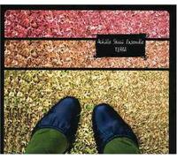 Achille Succi - Terra