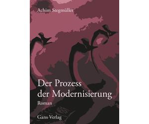 Achim Stegmüller Der Prozess der Modernisierung: Roman (Gegenwarten) (Tascabile)