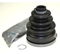 achskop fmansch NIS Sunny