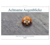 Achtsame Augenblicke (Wandkalender 2026 DIN A4 quer), CALVENDO Monatskalender: Bewusste achtsame Fotografie aus der Natur - schlicht und ergreifend
