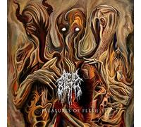 Acid Birth Pleasures of Flesh/The Divine Grotesque (CD) Album