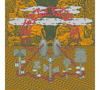 Acid Rooster Flowers & Dead Souls (Vinyl LP) 12" Album Coloured Vinyl
