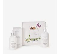 ACK MUSCHIO B.DOCCIA