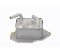 ACKOJA A32-60-0010 Radiatore olio motore