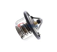 ACKOJA A37-99-0006 Termostato motore