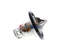 ACKOJA A38-99-0005 Termostato motore