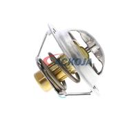 ACKOJA A38-99-0015 Termostato motore