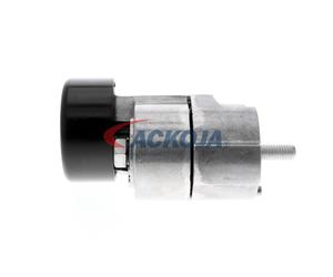 ACKOJA A52-0226 Tendicinghia, Cinghia dentata