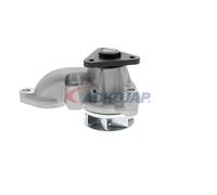 ACKOJA A52-0704 Pompa acqua