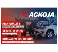 ACKOJA A52-9538 Braccio tergi, Pulizia cristalli