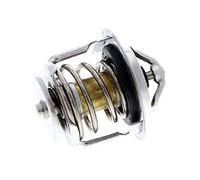 ACKOJA A52-99-0002 Termostato, Refrigerante