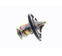 ACKOJA A52-99-0010 Termostato motore