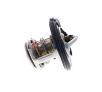 ACKOJA A52-99-0016 Termostato motore