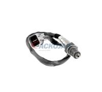 ACKOJA A53-76-0012 Sonda lambda
