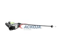 ACKOJA A53-85-0186 Serratura cofano post.