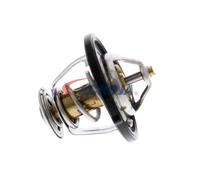 ACKOJA A53-99-0011 Termostato motore