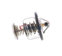 ACKOJA A55-99-0002 Termostato motore