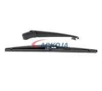 ACKOJA A70-0419 Serie bracci tergi, Pulizia cristalli
