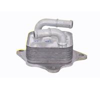 ACKOJA A70-60-0016 Radiatore olio motore