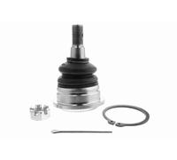 ACKOJA Giunto Sferico Inferiore Anteriore Sinistra per Nissan Urvan Bus Pick-Up