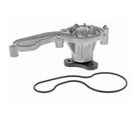 Ackoja Pompa Dell'Acqua + Guarnizione Per Honda City Civic Hr-V Jazz