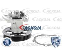 ACKOJA Pompa Dell'Acqua Meccanica Per Toyota Starlet EP9 P8 P7 Corolla Compatta