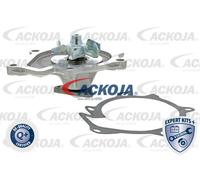 ACKOJA Pompa Dell'Acqua Per KIA Sorento II Sportage Hyundai Santa Fé IX35