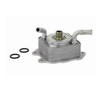 Ackoja Radiatore Olio A38-60-0024