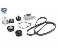 ACKOJA Set Cinghia Scanalata per Mercedes-Benz R129 Cabriolet A124 Kia