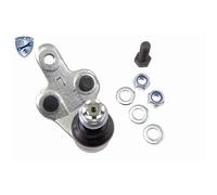 Ackoja Snodo a Sfera Anteriore SX per Lexus Rx Toyota Camry Highlander Previa