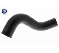 ACKOJA Tubo Di Raffreddamento Superiore Per Subaru Forester Legacy IV A63-1600