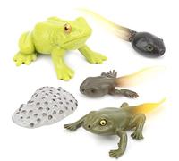 ACOGEDO Ciclo di Crescita degli Animali Modello del Ciclo di Vita Modello Didattico di Apprendimento Giocattolo per Bambini n. 3 I Bambini Vedono gli Animali Far Crescere la Plastica Realizzato Come