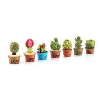 ACOGEDO Minuscole Piante Succulente in Miniatura per Decorazione per la Casa delle Bambole, 7 Pezzi Ornamento da Giardino Fata, Pentola Mini Pianta Ecologica per Mestiere Fai-da-te