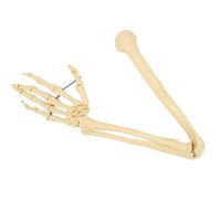 ACOGEDO Modello di Ossa del Braccio Anatomico Umano Anatomico Professionale - Struttura degli Arti Superiori con Omero, Raggio, Ulna e Ossa della Mano - Materiale in PVC per l'insegnamento, la