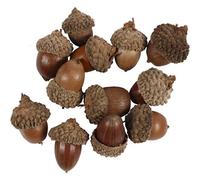 Acorns Pack of 12