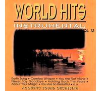 Acoustic Sound Orchestra - World Hits-Instrumental Vol.12