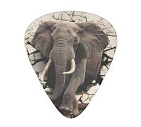 Acoustic Variety Pack Plettri per Chitarra Confezione da 12 Compresi Plettro per Chitarra Sottile, Medio e Pesante Broken Wall Elephant