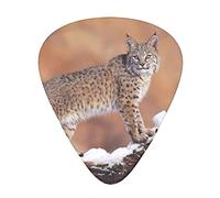 Acoustic Variety Pack Plettri per Chitarra Confezione da 12 Compresi Plettro per Chitarra Sottile, Medio e Pesante Wild Bobcat