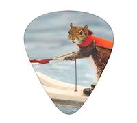 Acoustic Variety Pack Plettri per chitarra Confezione da 12 Plettro per chitarra sottile, medio e pesante Sci nautico Fox Squirrel