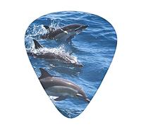Acoustic Variety Pack Plettri per chitarra Confezione da 12 Plettro per chitarra sottile, medio e pesante Dolphins In The Sea